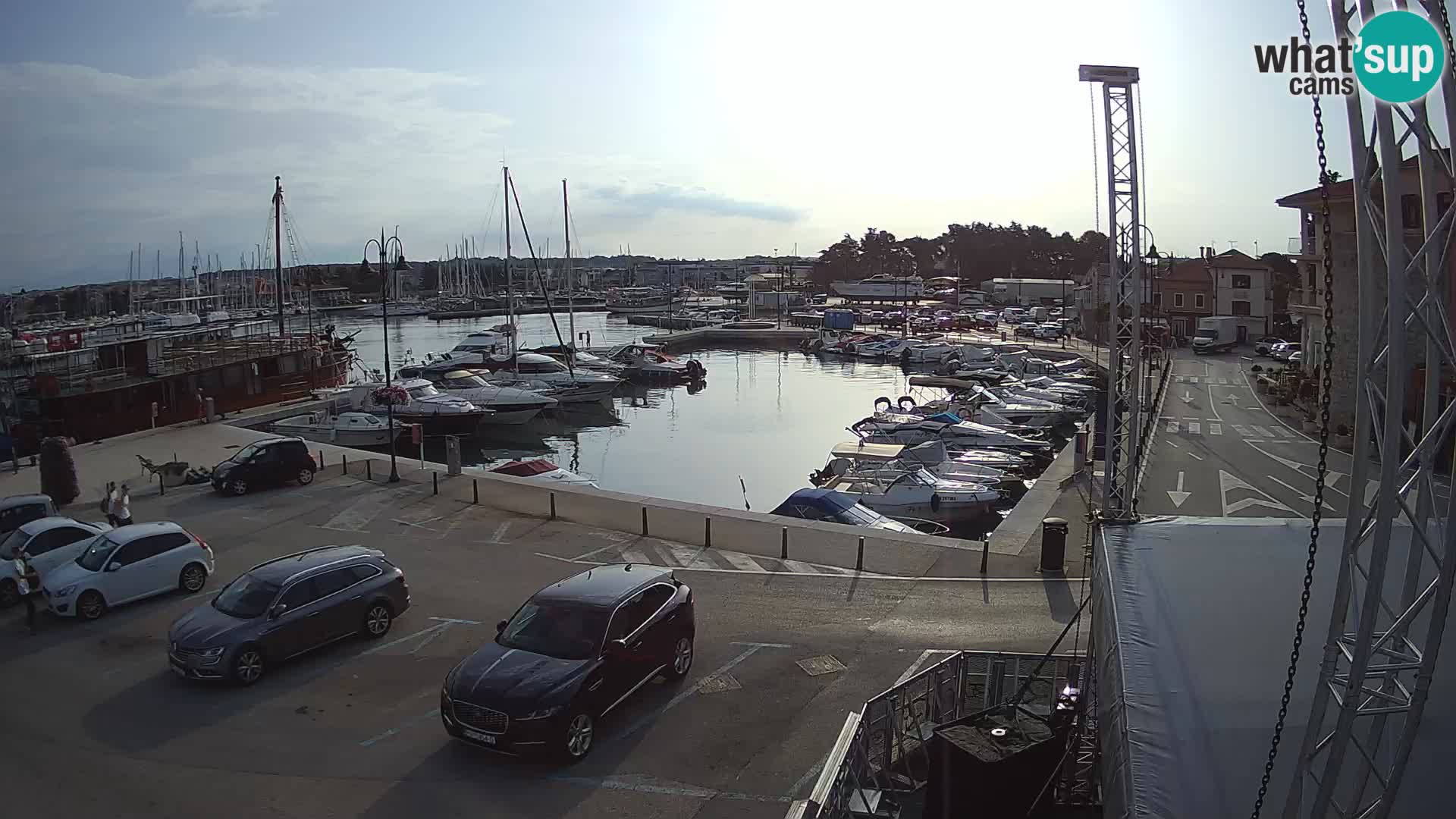 Novigrad | Porporela marina