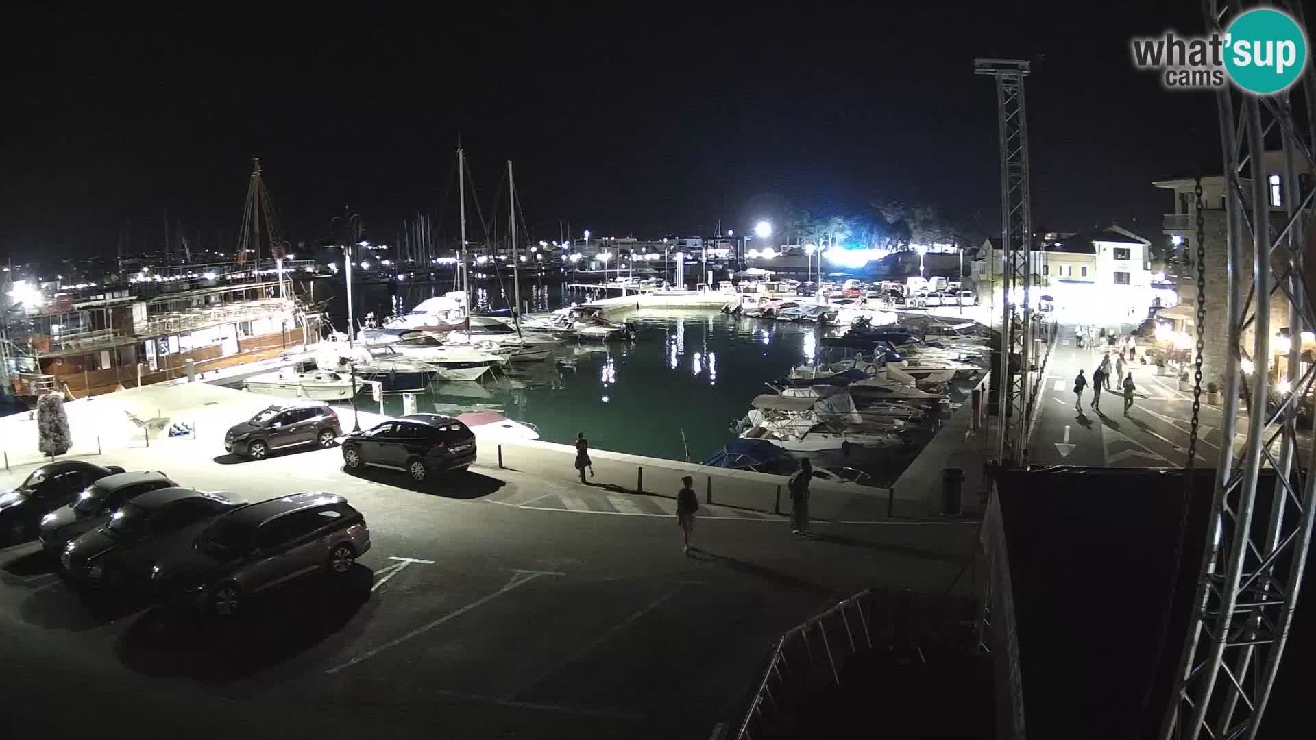 Novigrad | Porporela marina