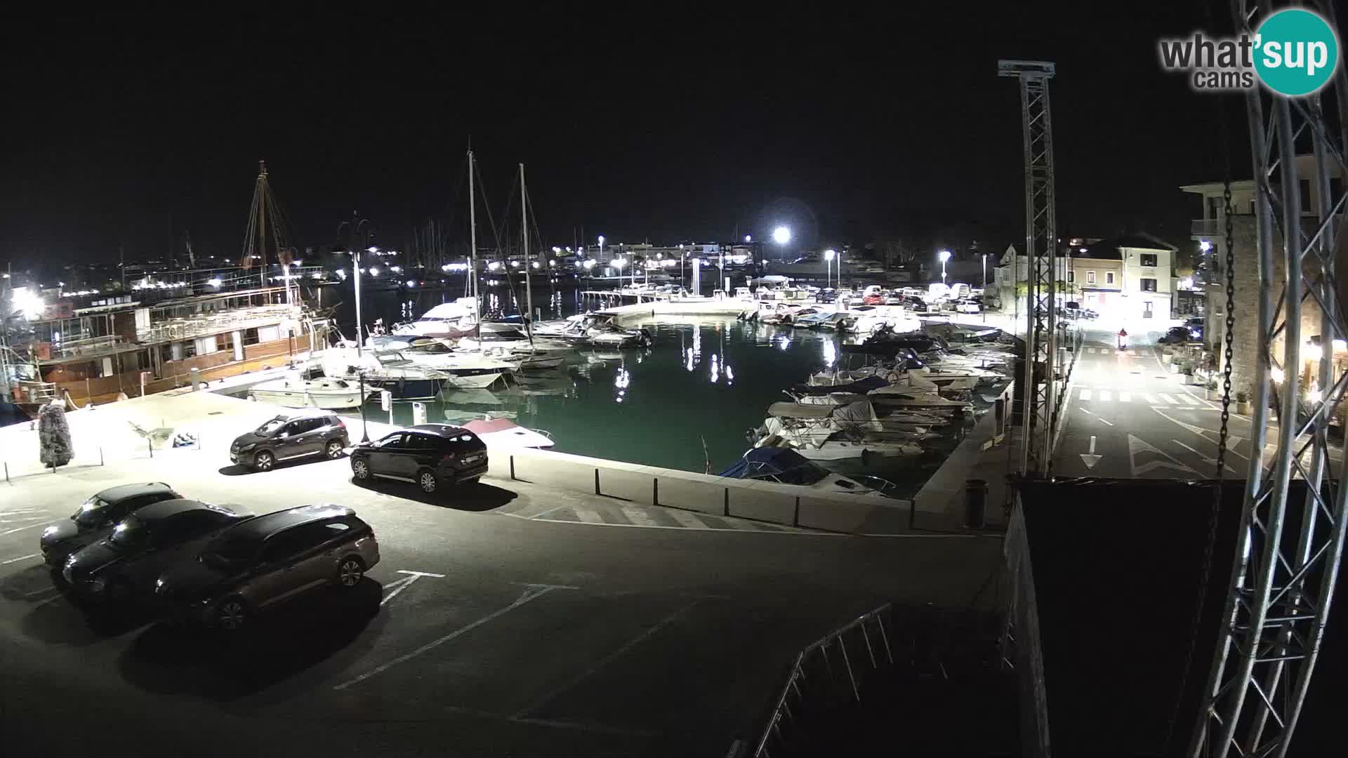 Novigrad | Porporela marina