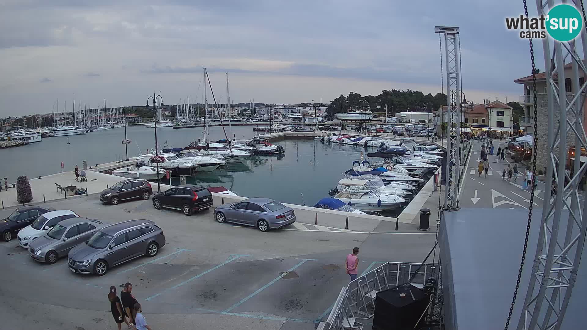 Novigrad | Porporela marina