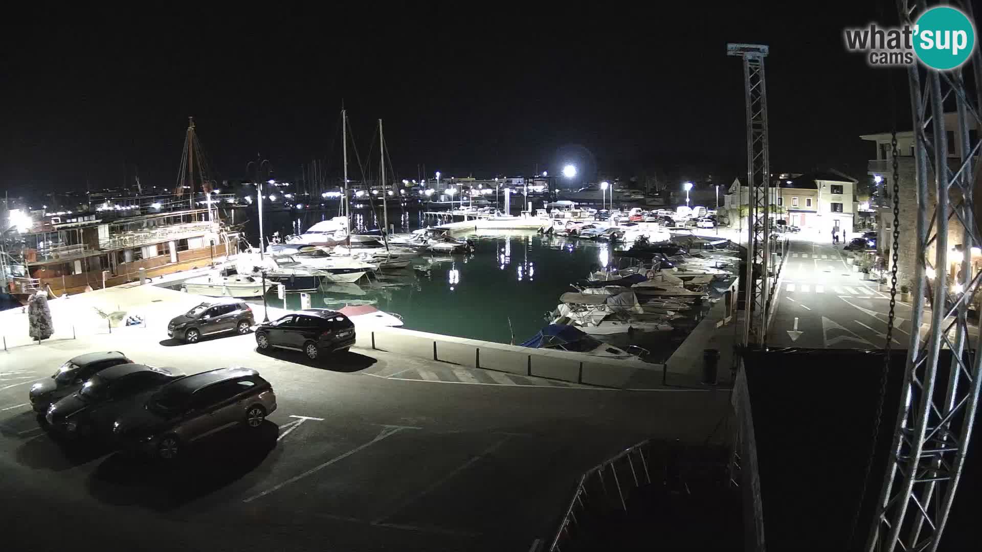 Novigrad | Porporela marina