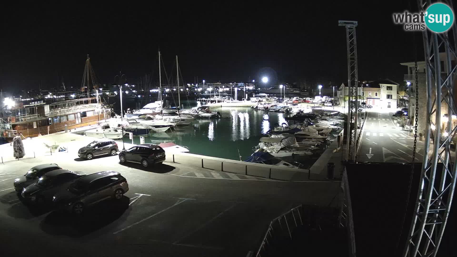 Novigrad | Porporela marina