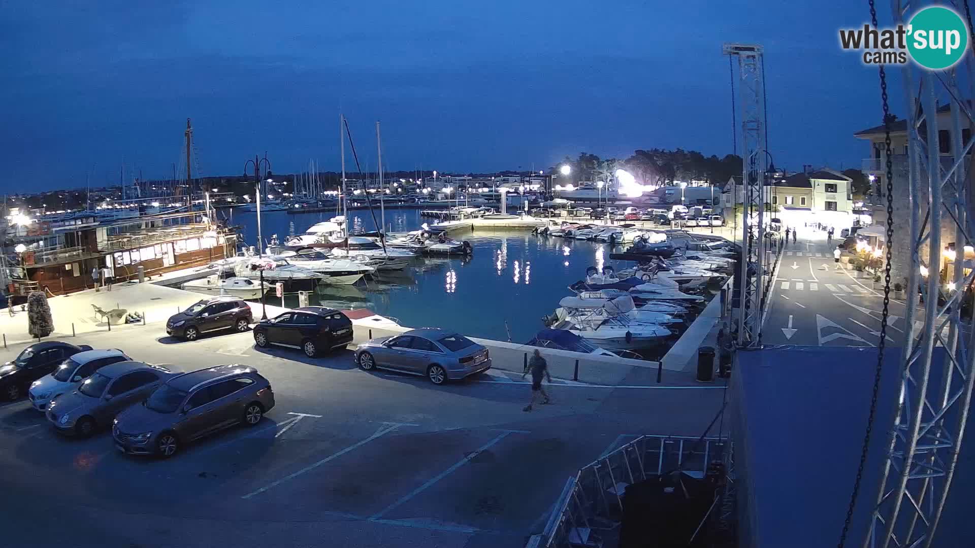 Novigrad | Porporela marina