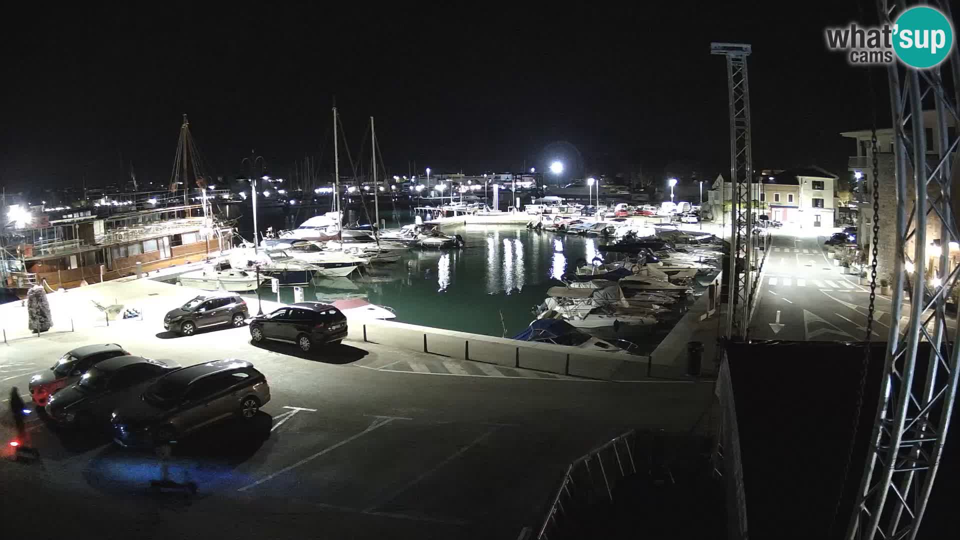 Novigrad | Porporela marina