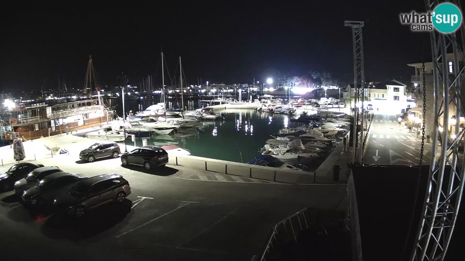 Novigrad | Porporela marina