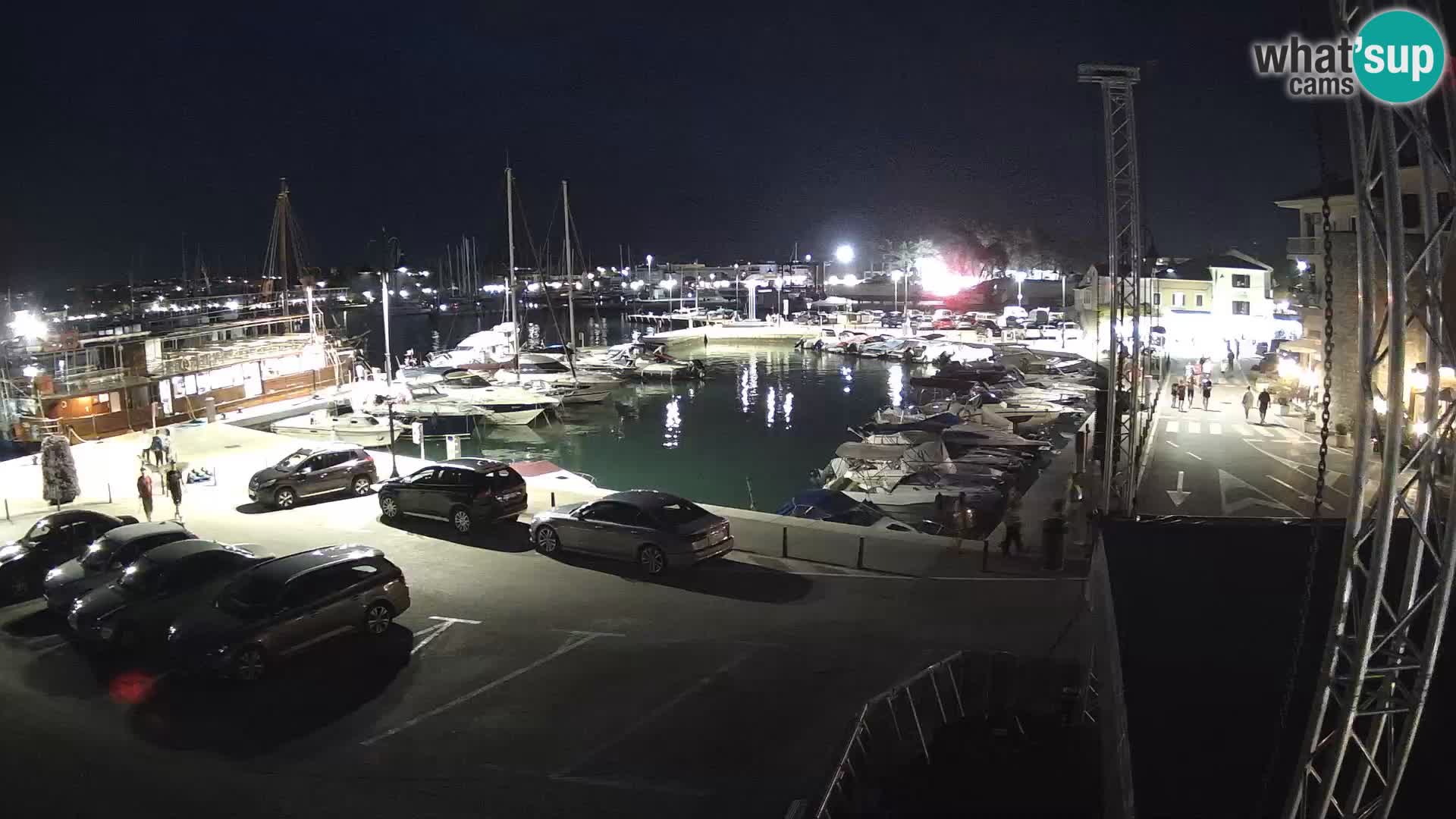Novigrad | Porporela marina