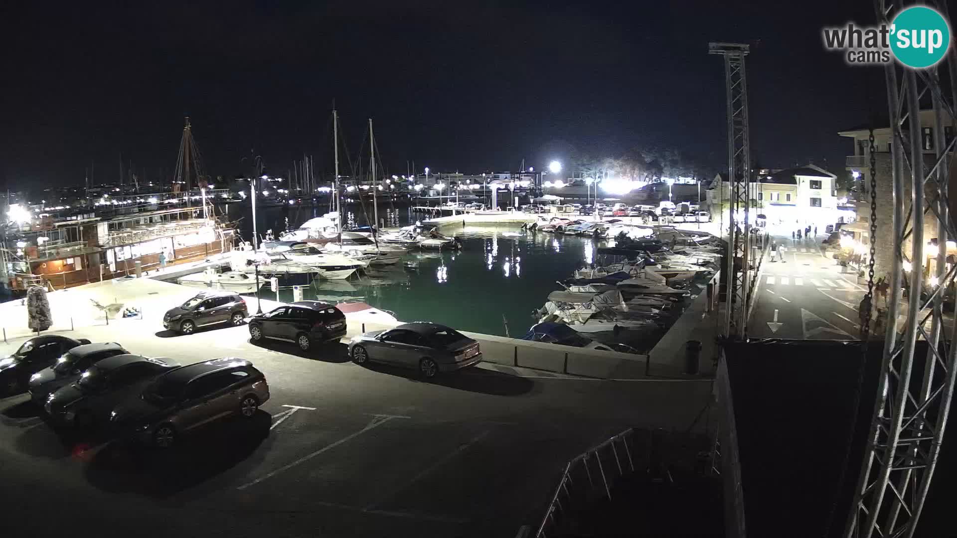 Novigrad | Porporela marina