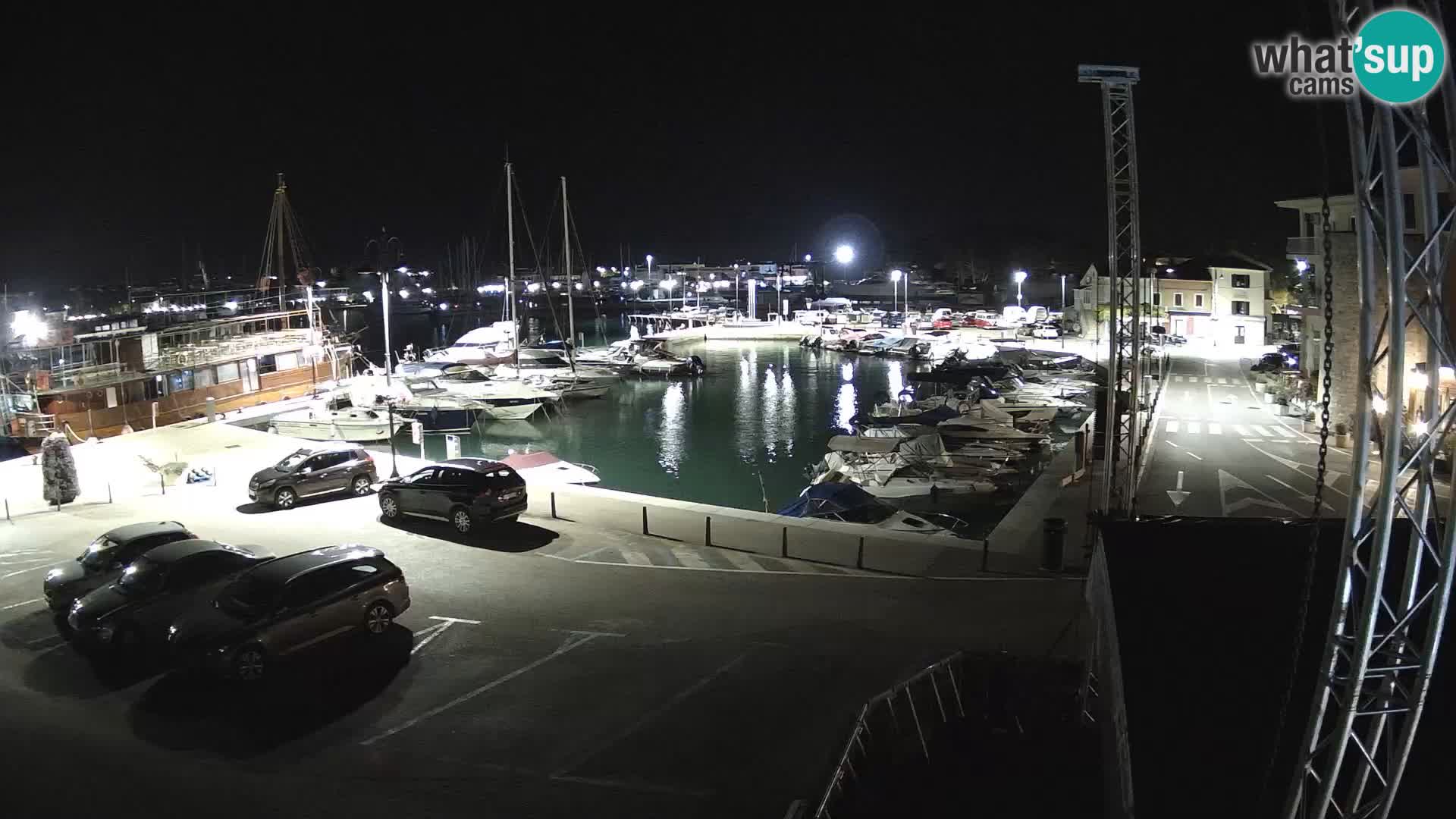 Novigrad | Porporela marina