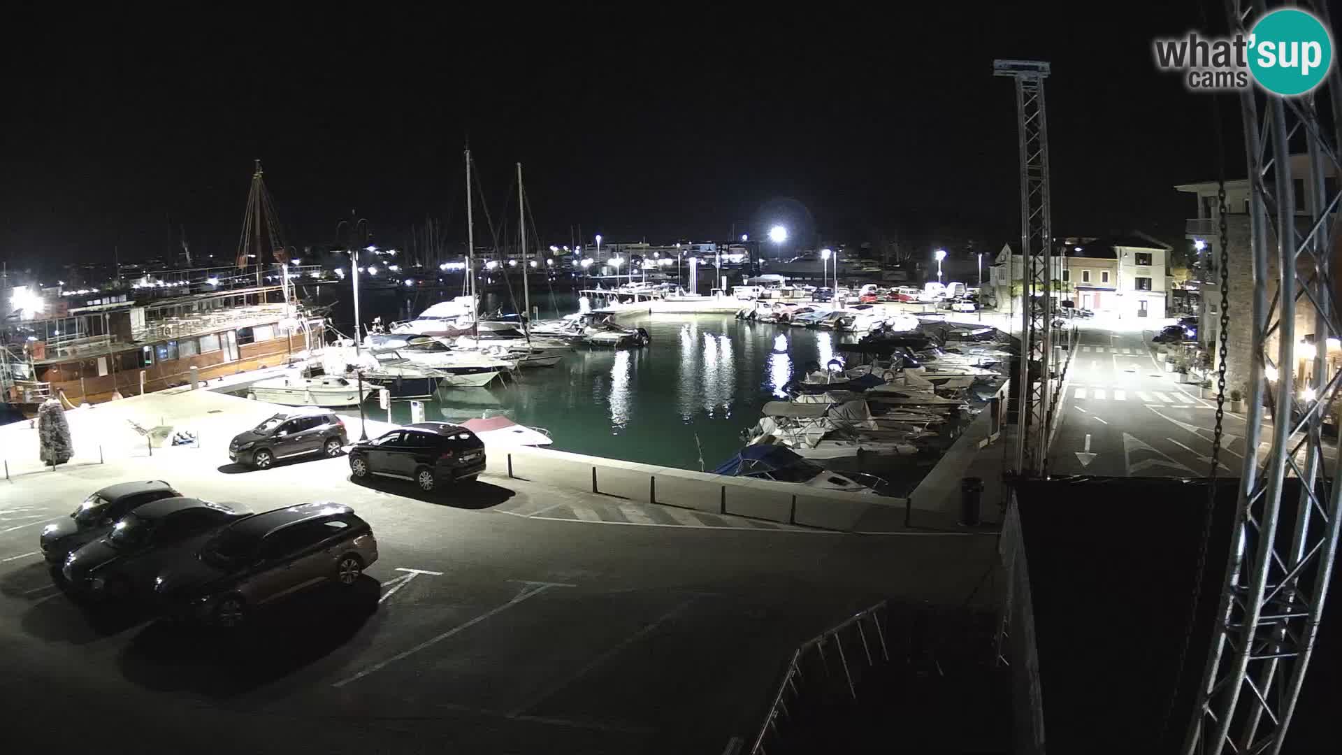 Novigrad | Porporela marina