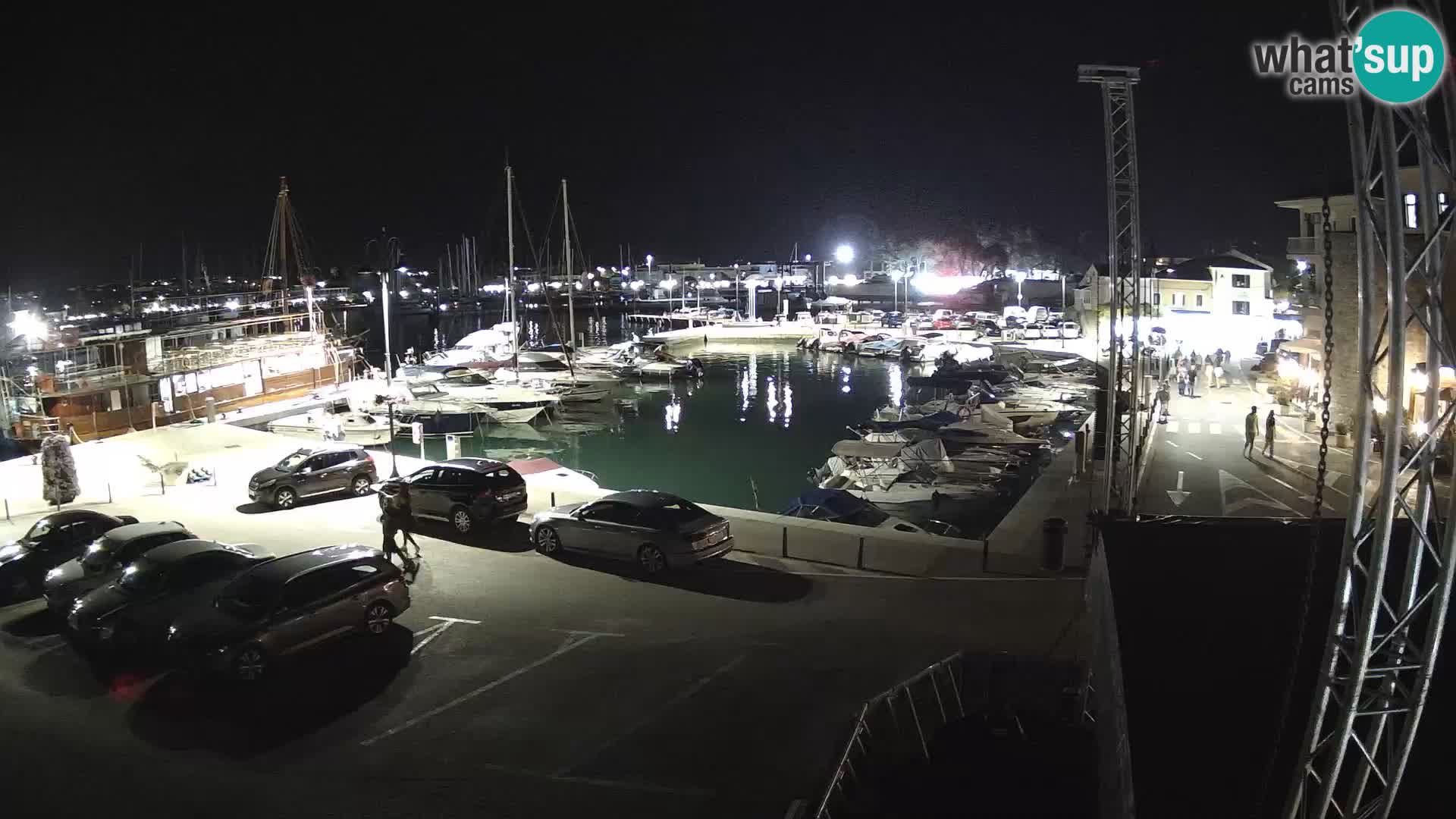 Novigrad | Porporela marina