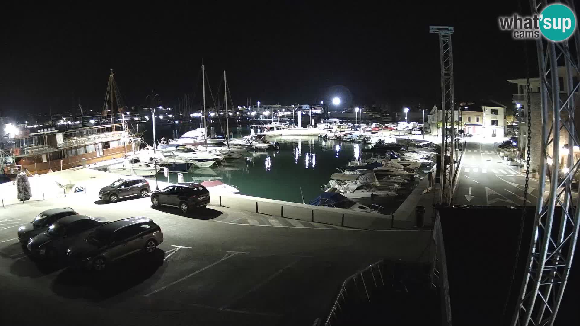Novigrad | Porporela marina