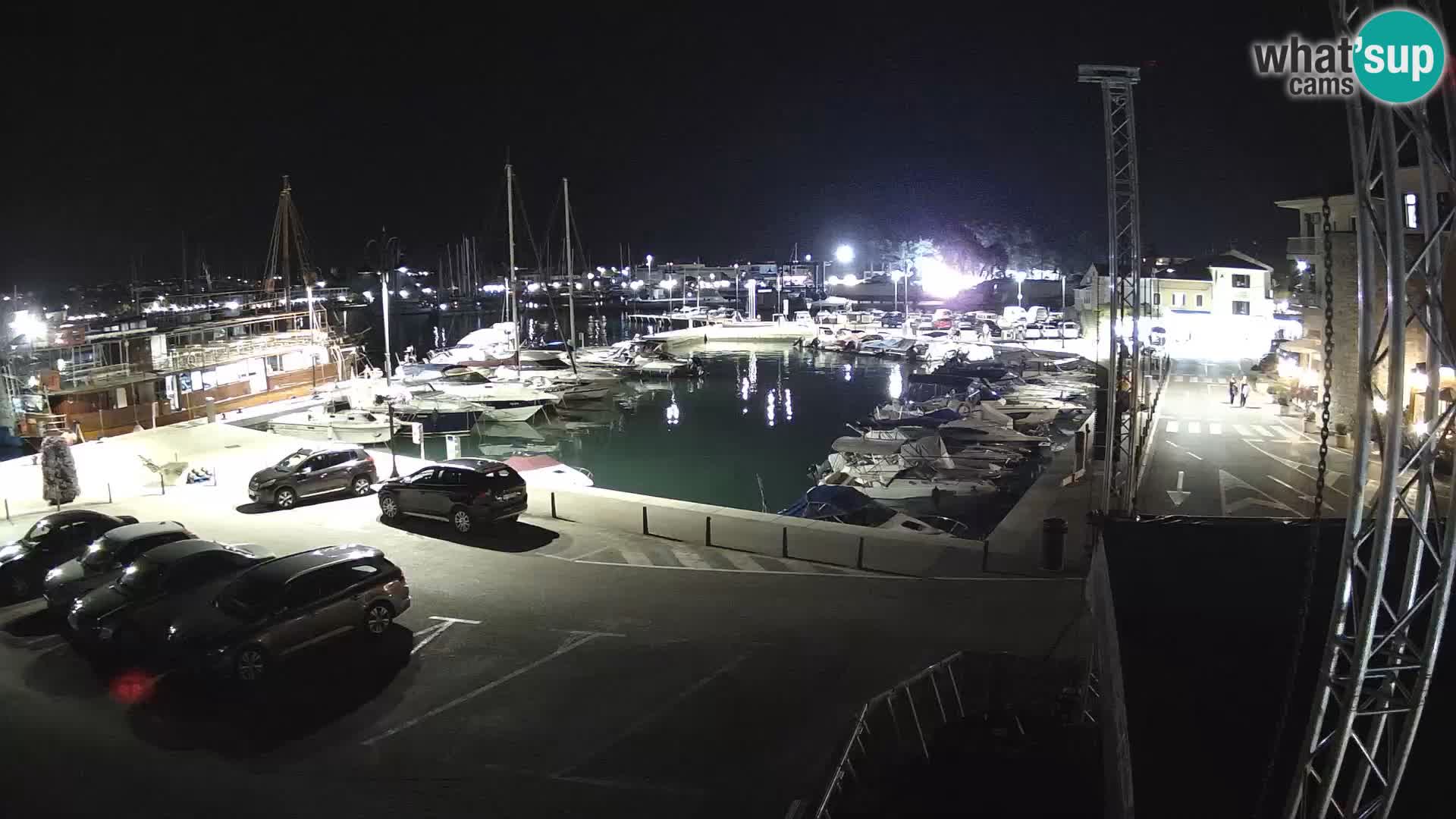 Novigrad | Porporela marina
