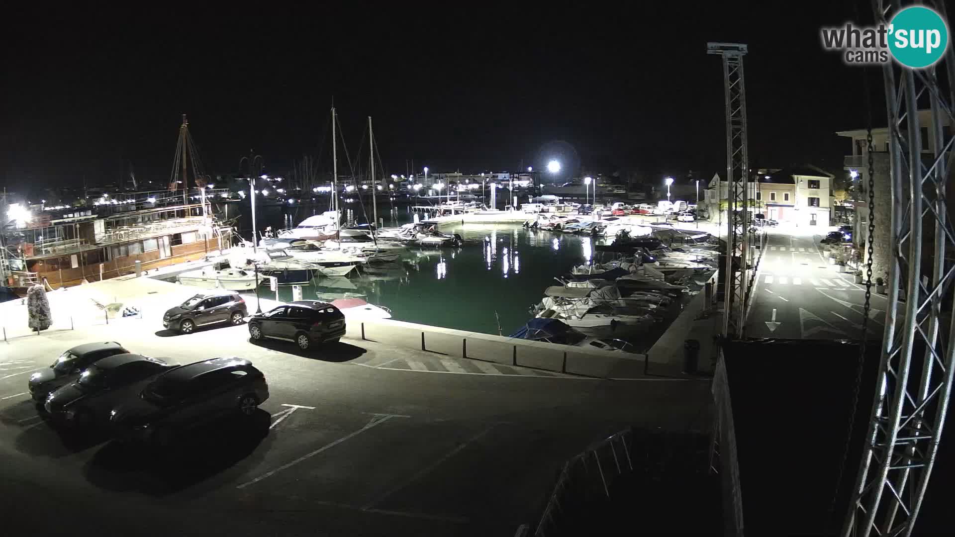 Novigrad | Porporela marina