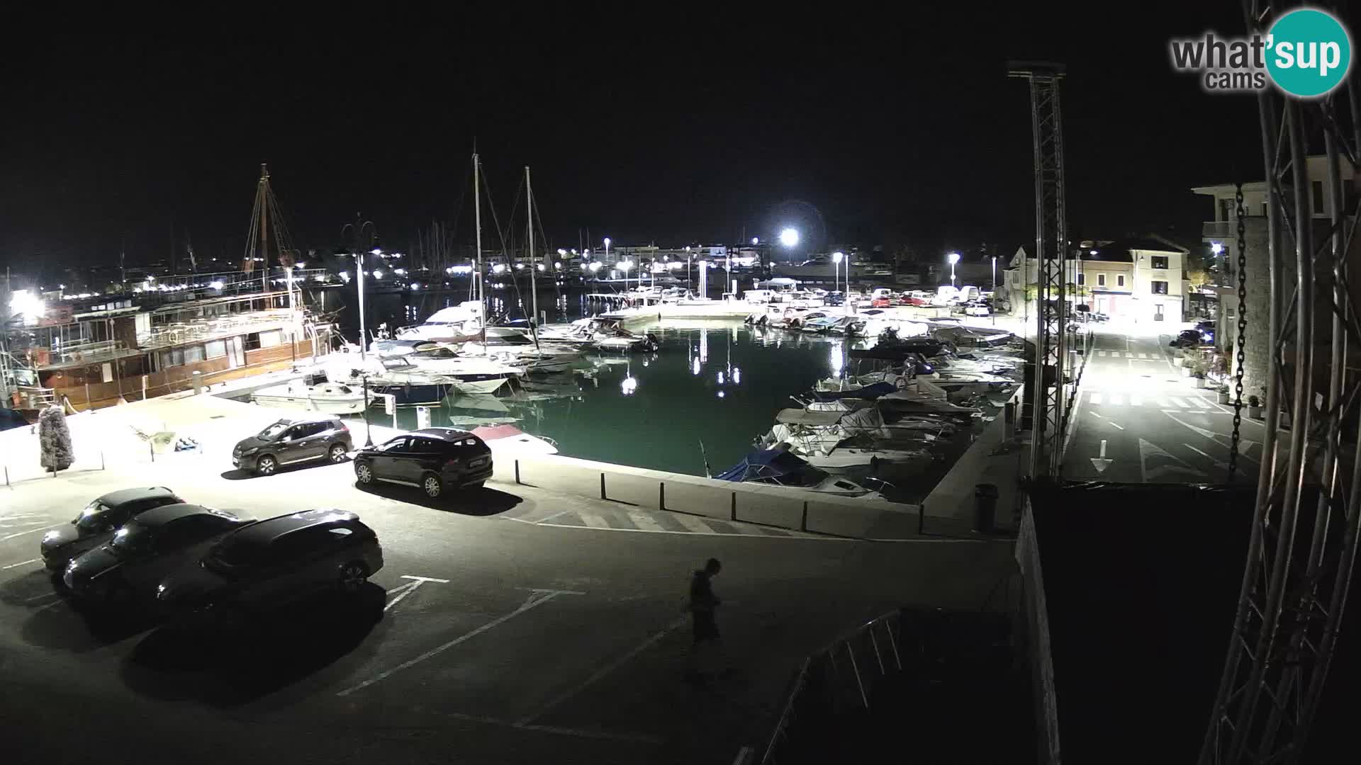 Novigrad | Porporela marina