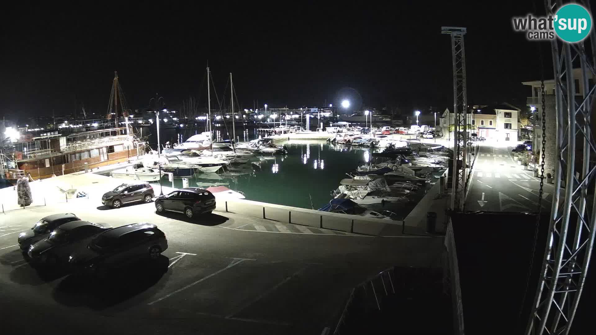 Novigrad | Porporela marina