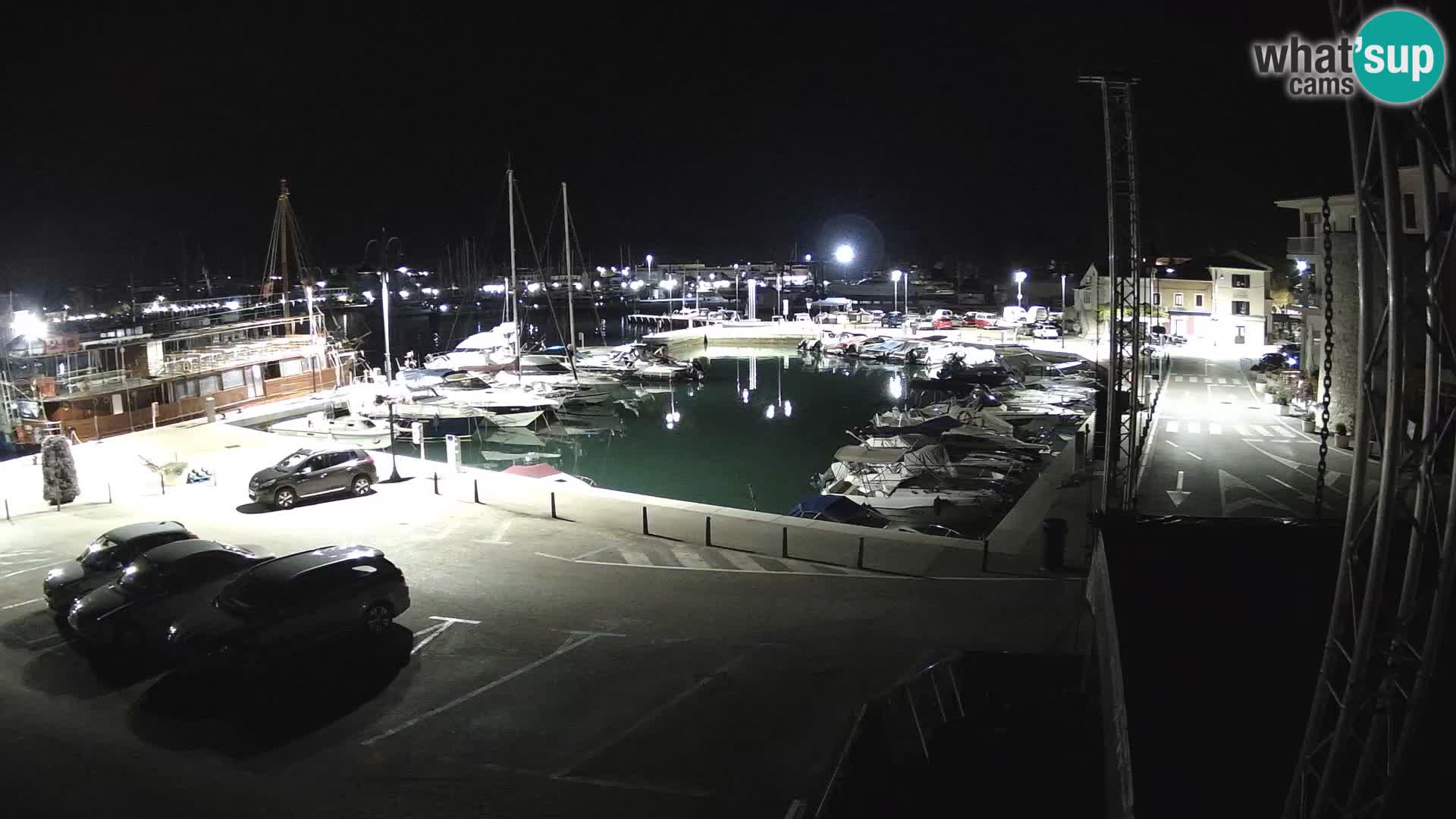 Novigrad | Porporela marina