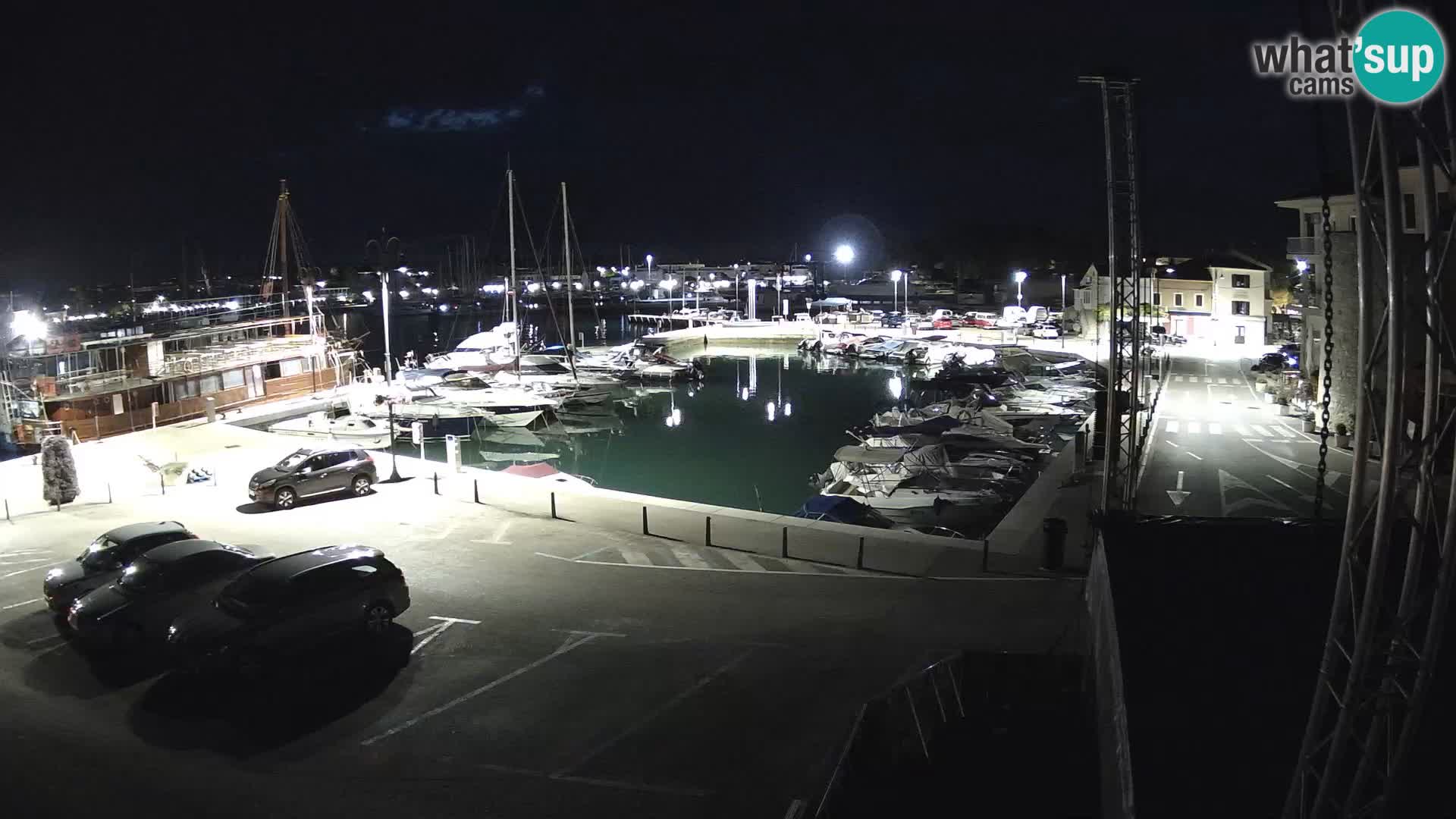 Novigrad | Porporela marina