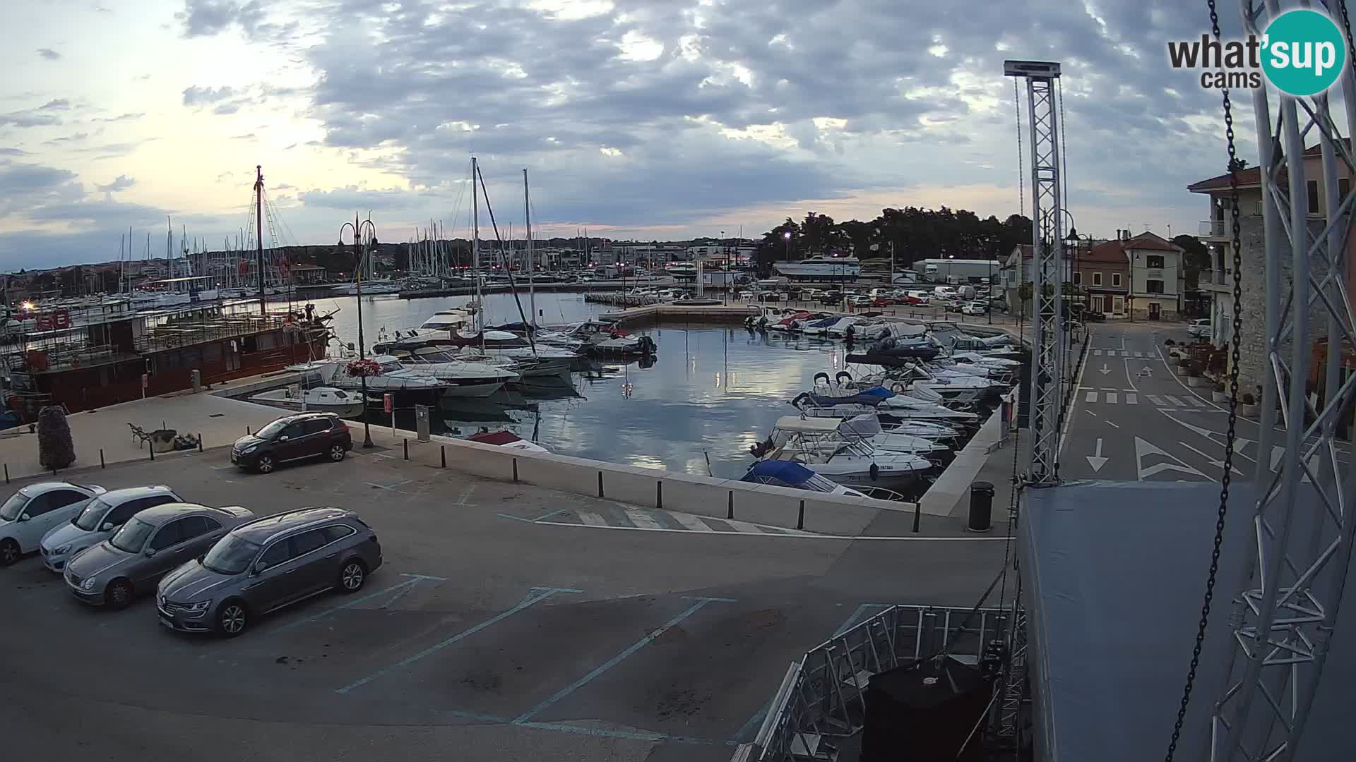 Novigrad | Porporela marina
