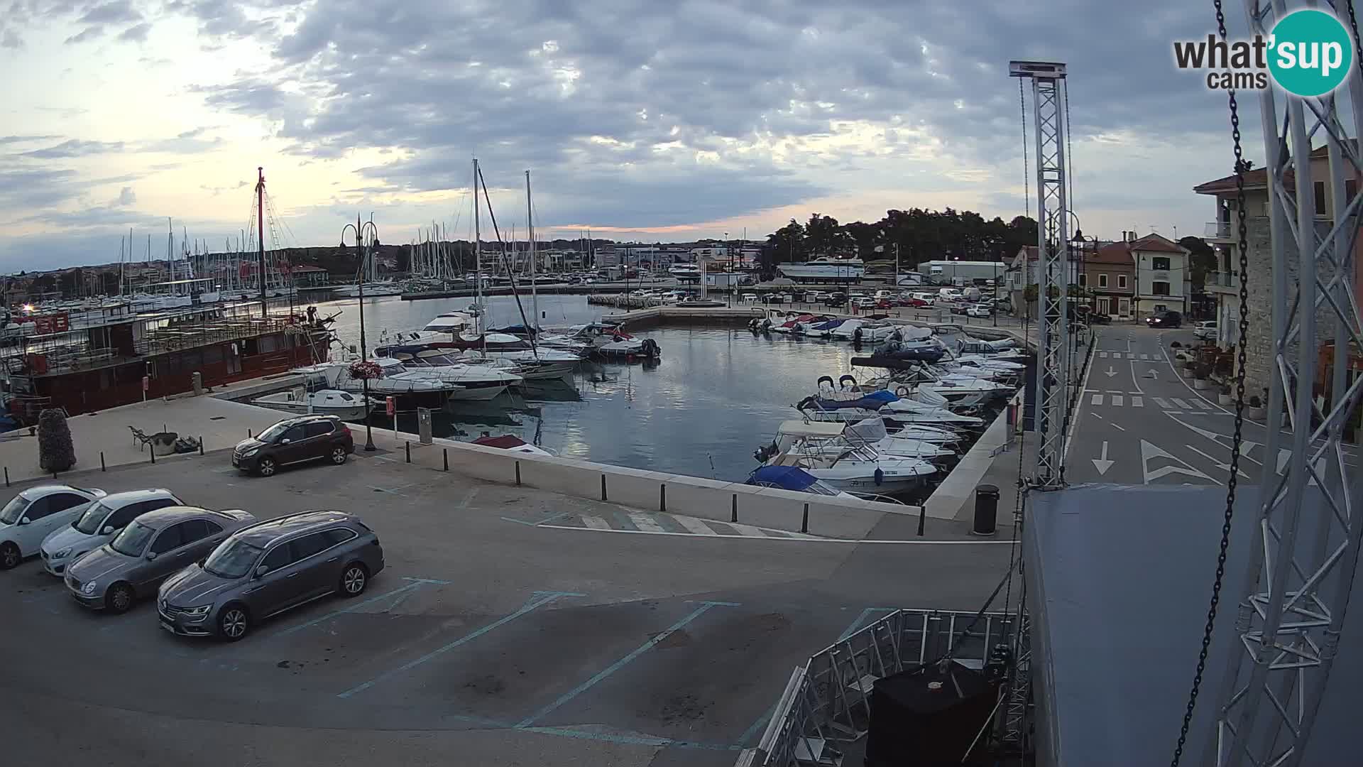 Novigrad | Porporela marina