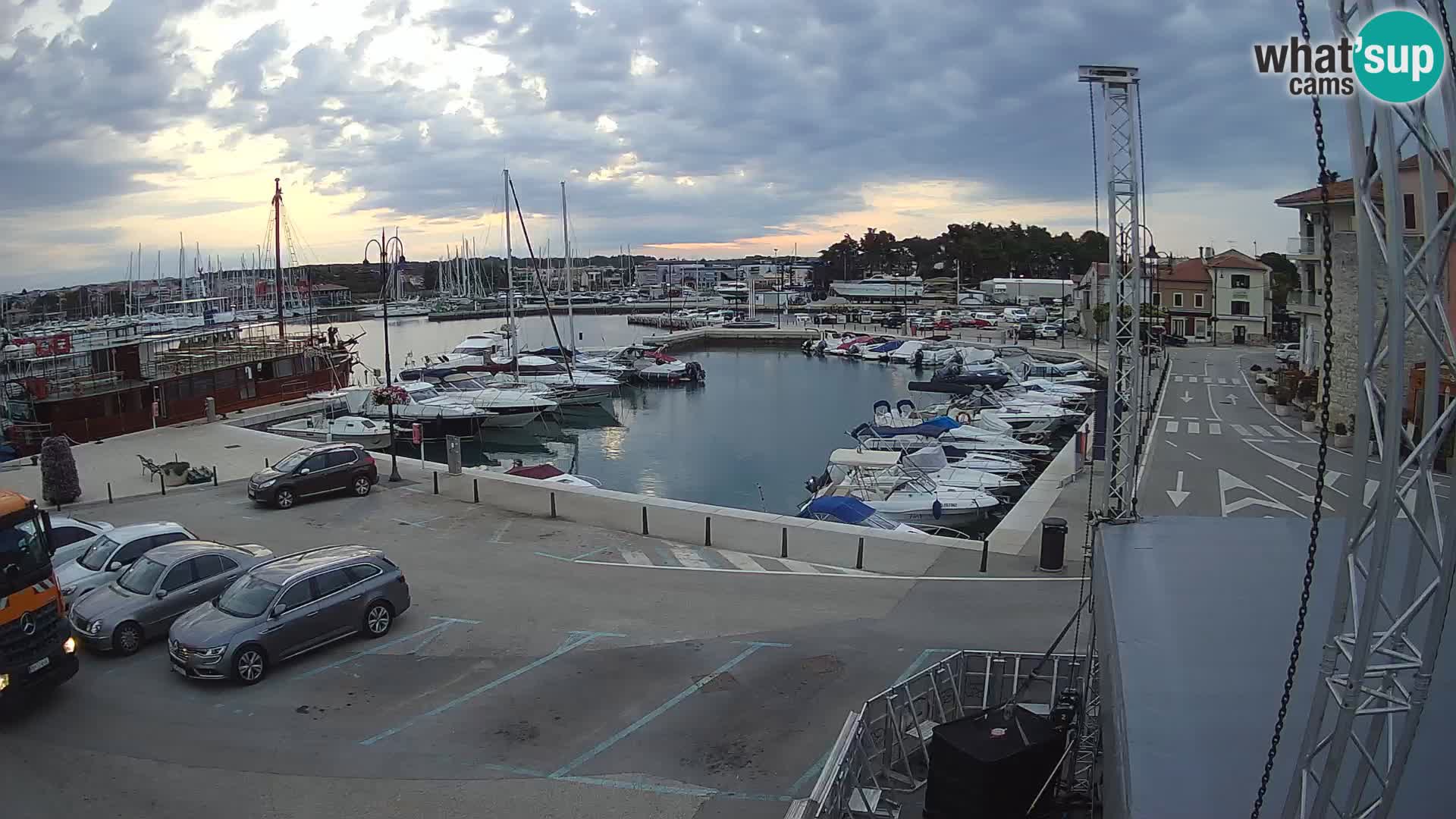 Novigrad | Porporela marina