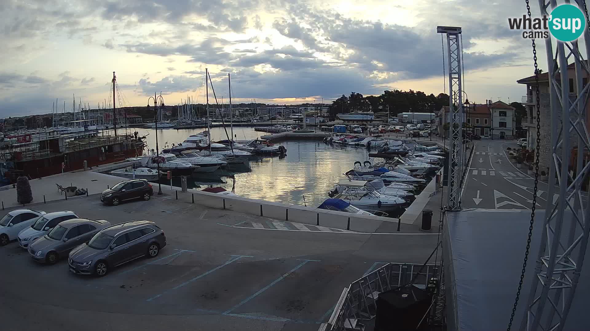 Novigrad | Porporela marina