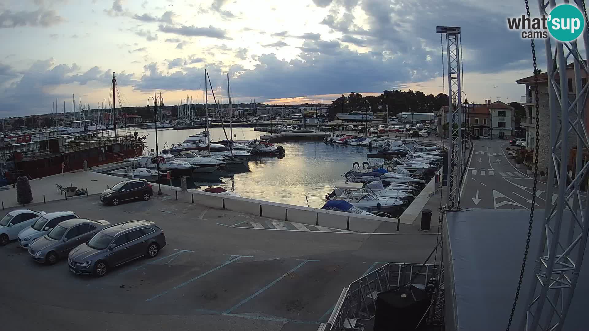 Novigrad | Porporela marina