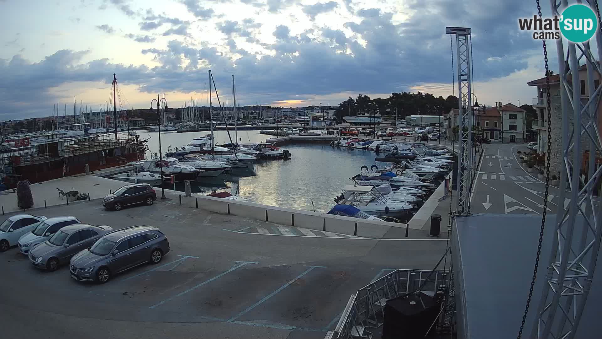 Novigrad | Porporela marina