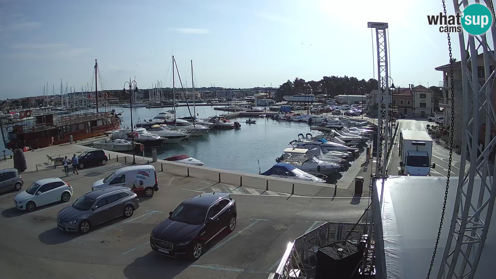 Novigrad | Porporela marina