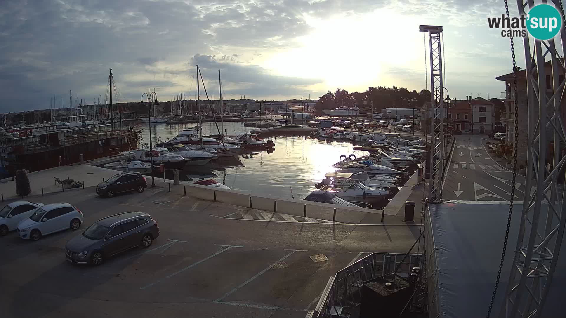 Novigrad | Porporela marina