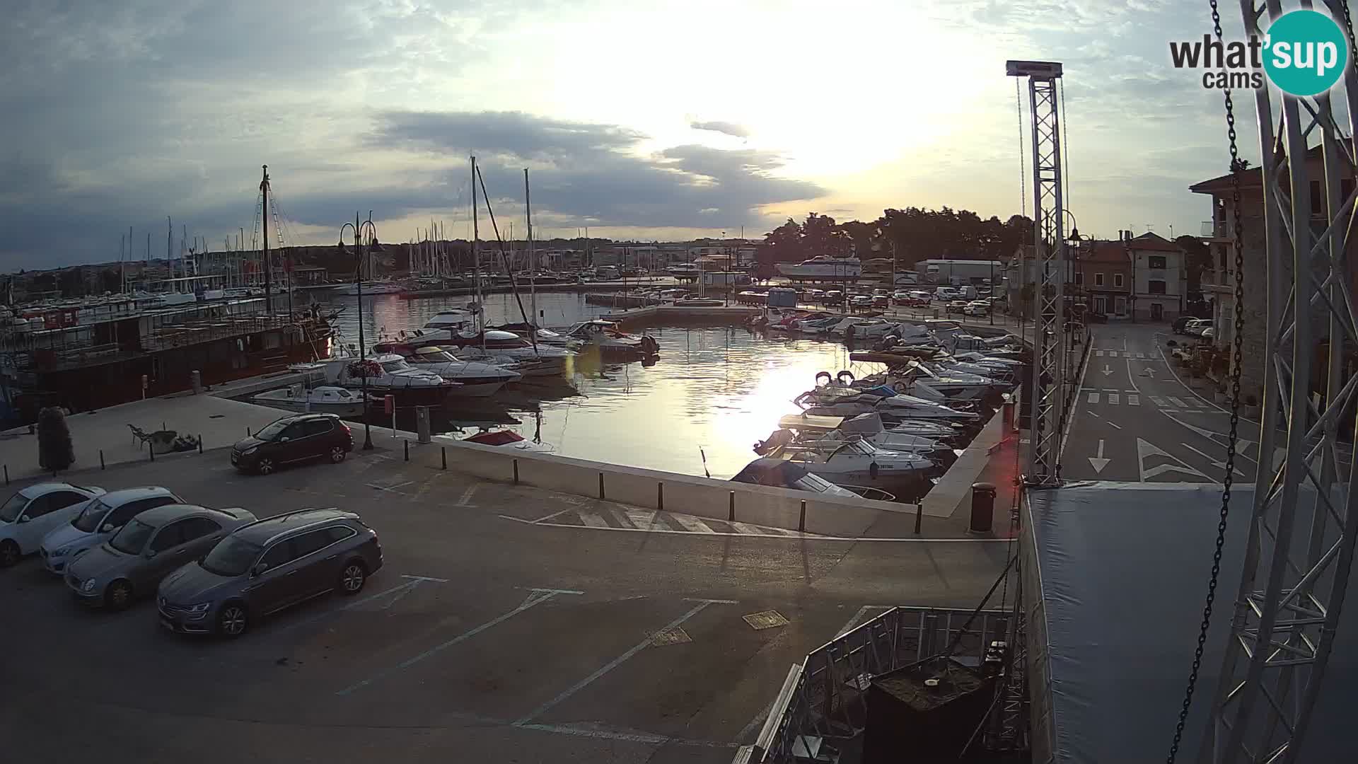 Novigrad | Porporela marina