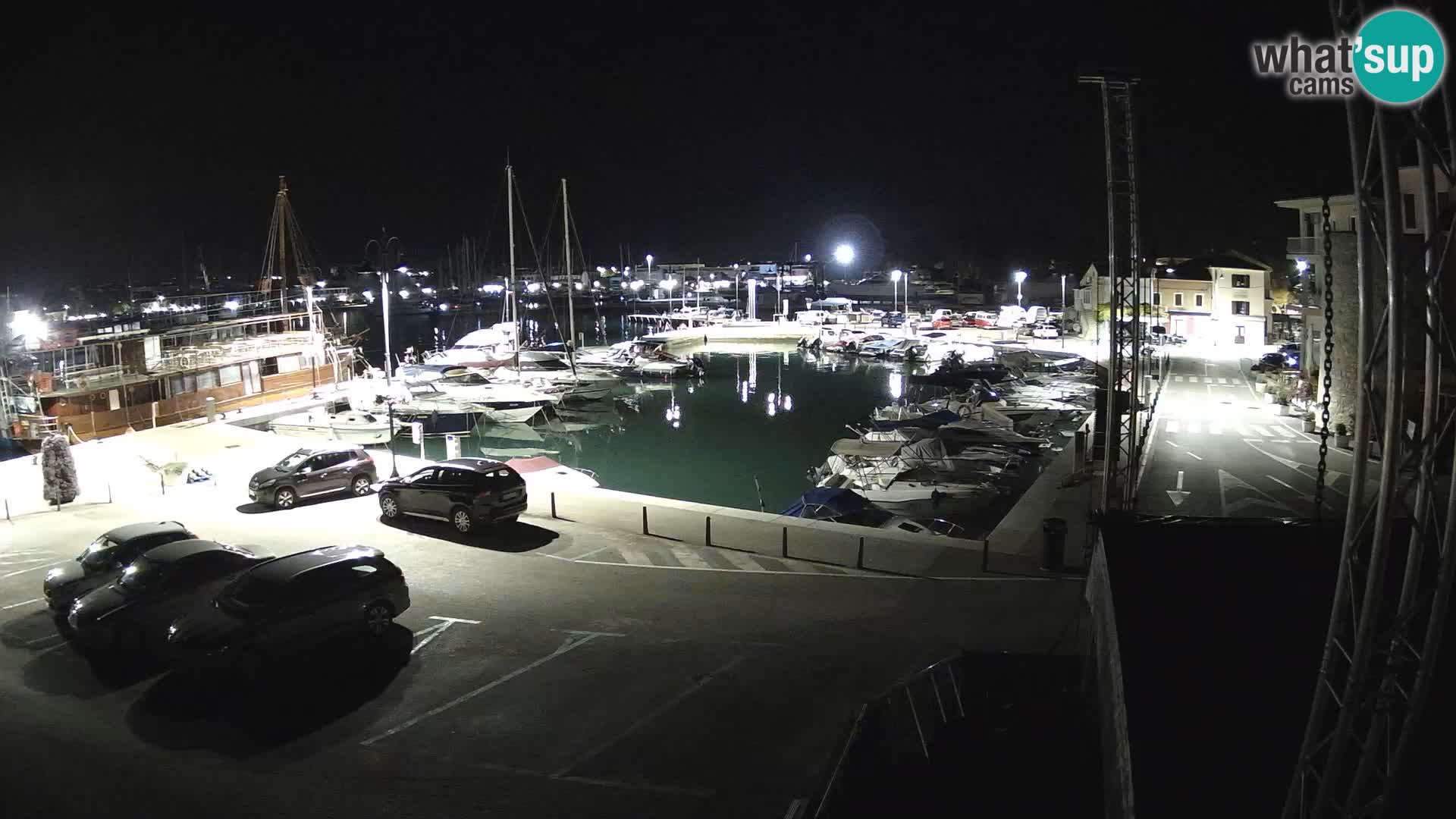 Novigrad | Porporela marina
