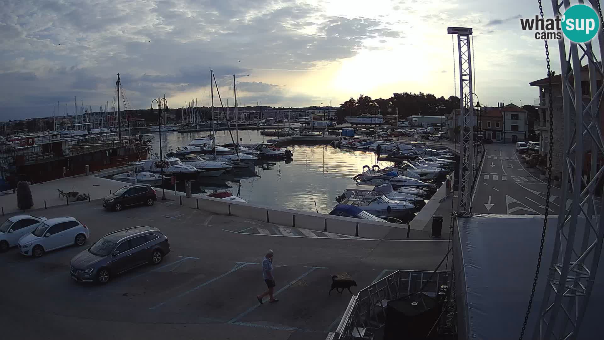 Novigrad | Porporela marina