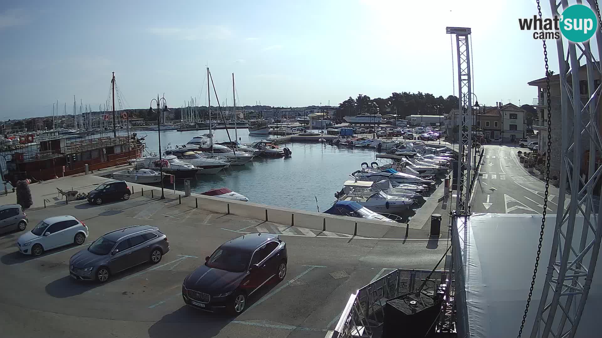 Novigrad | Porporela marina