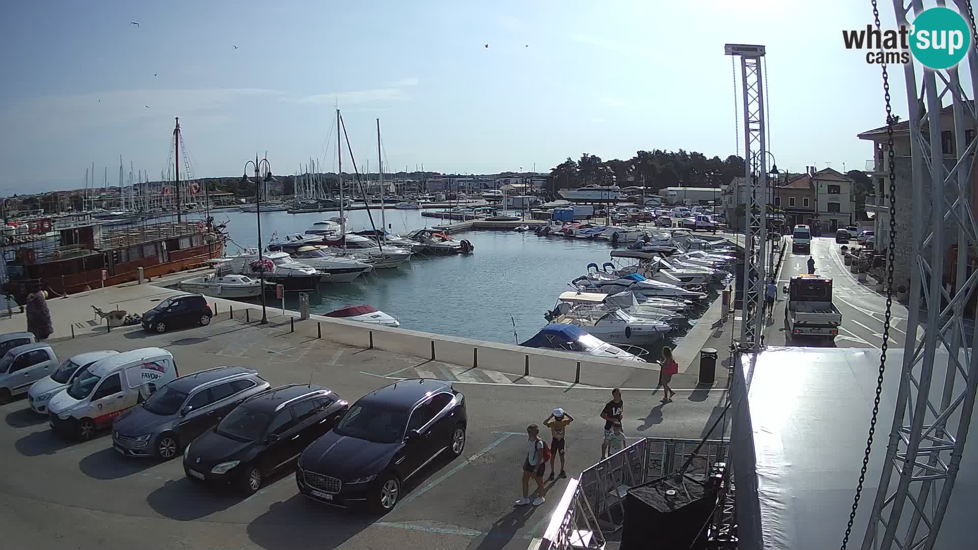 Novigrad | Porporela marina