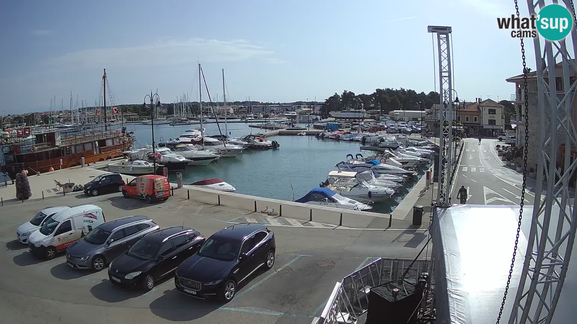 Novigrad | Porporela marina