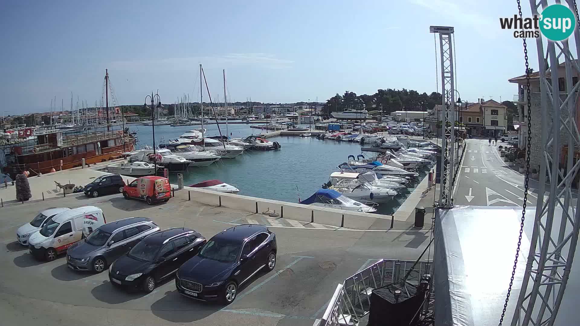 Novigrad | Porporela marina