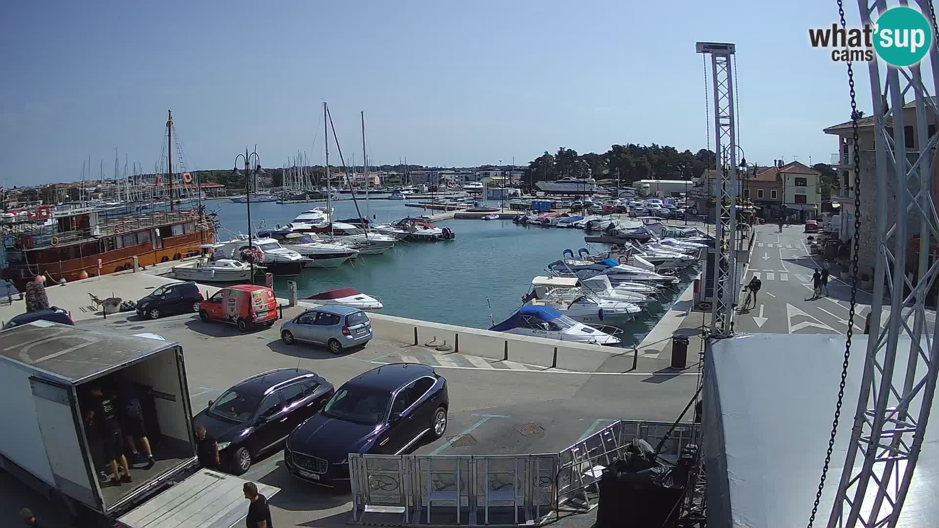 Novigrad | Porporela marina
