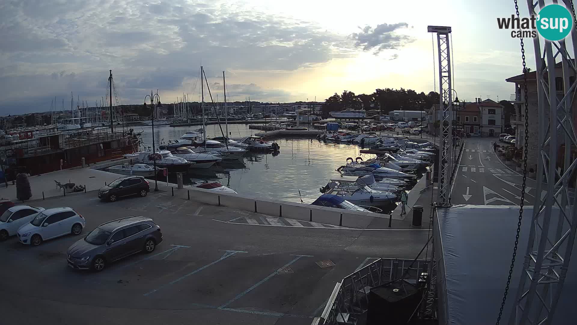 Novigrad | Porporela marina