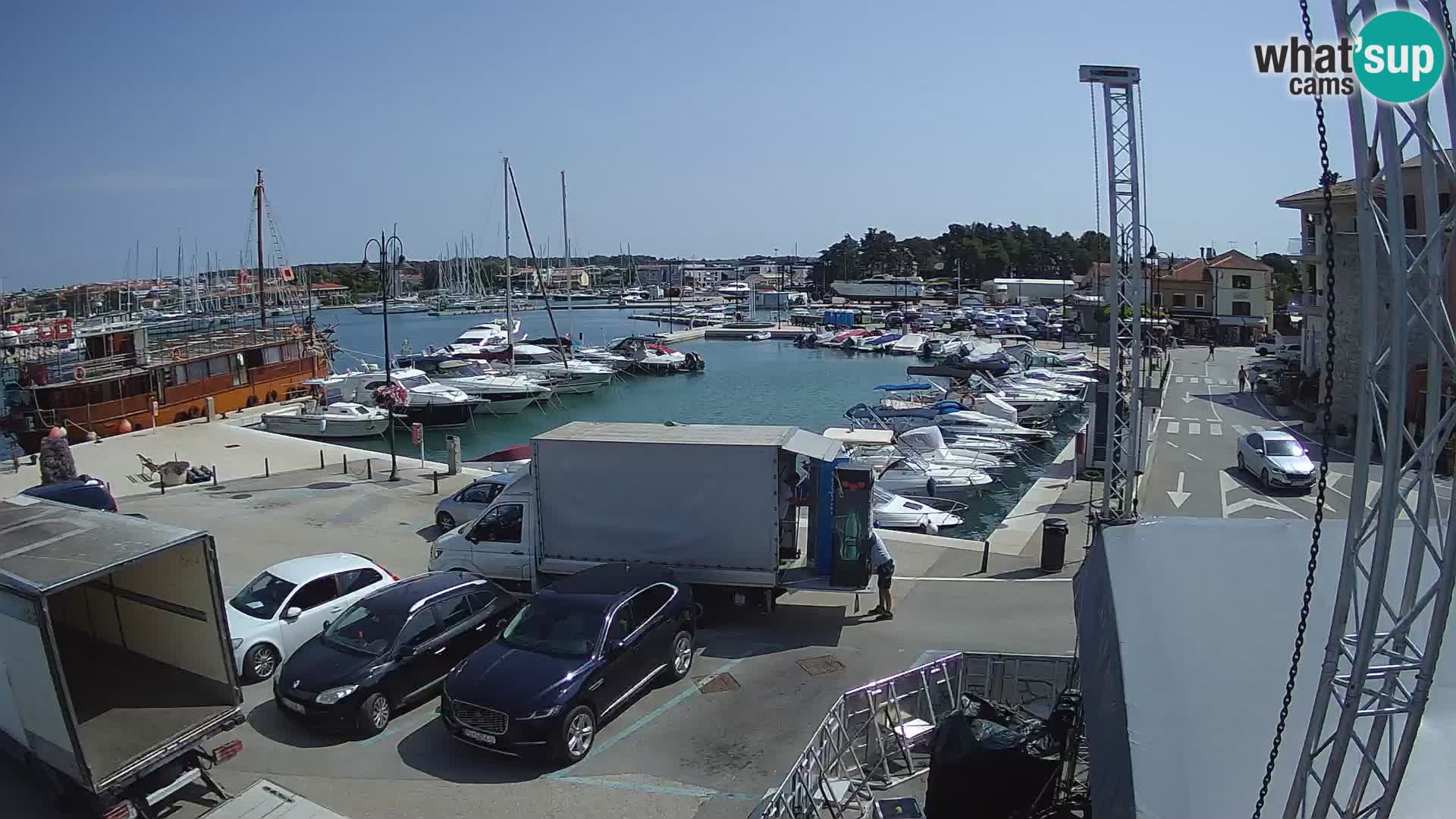 Novigrad | Porporela marina