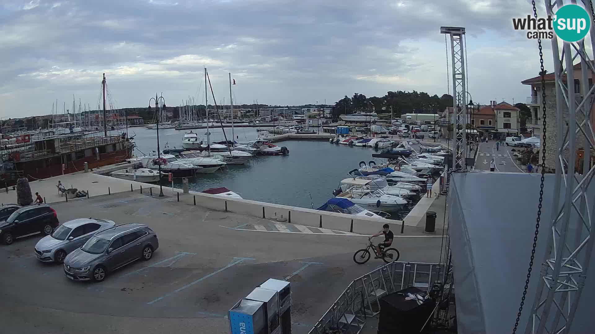 Novigrad | Porporela marina