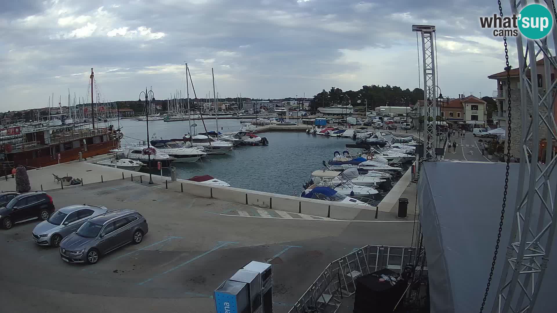 Novigrad | Porporela marina