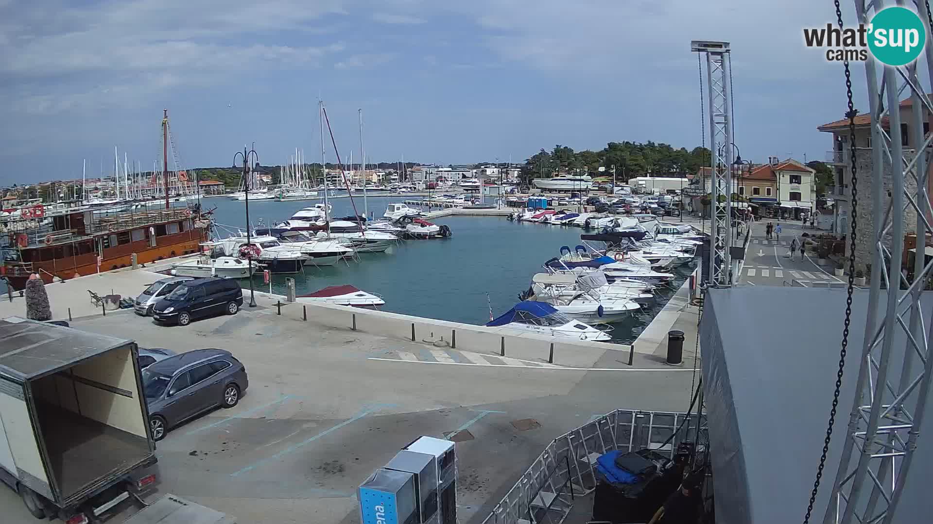 Novigrad | Porporela marina
