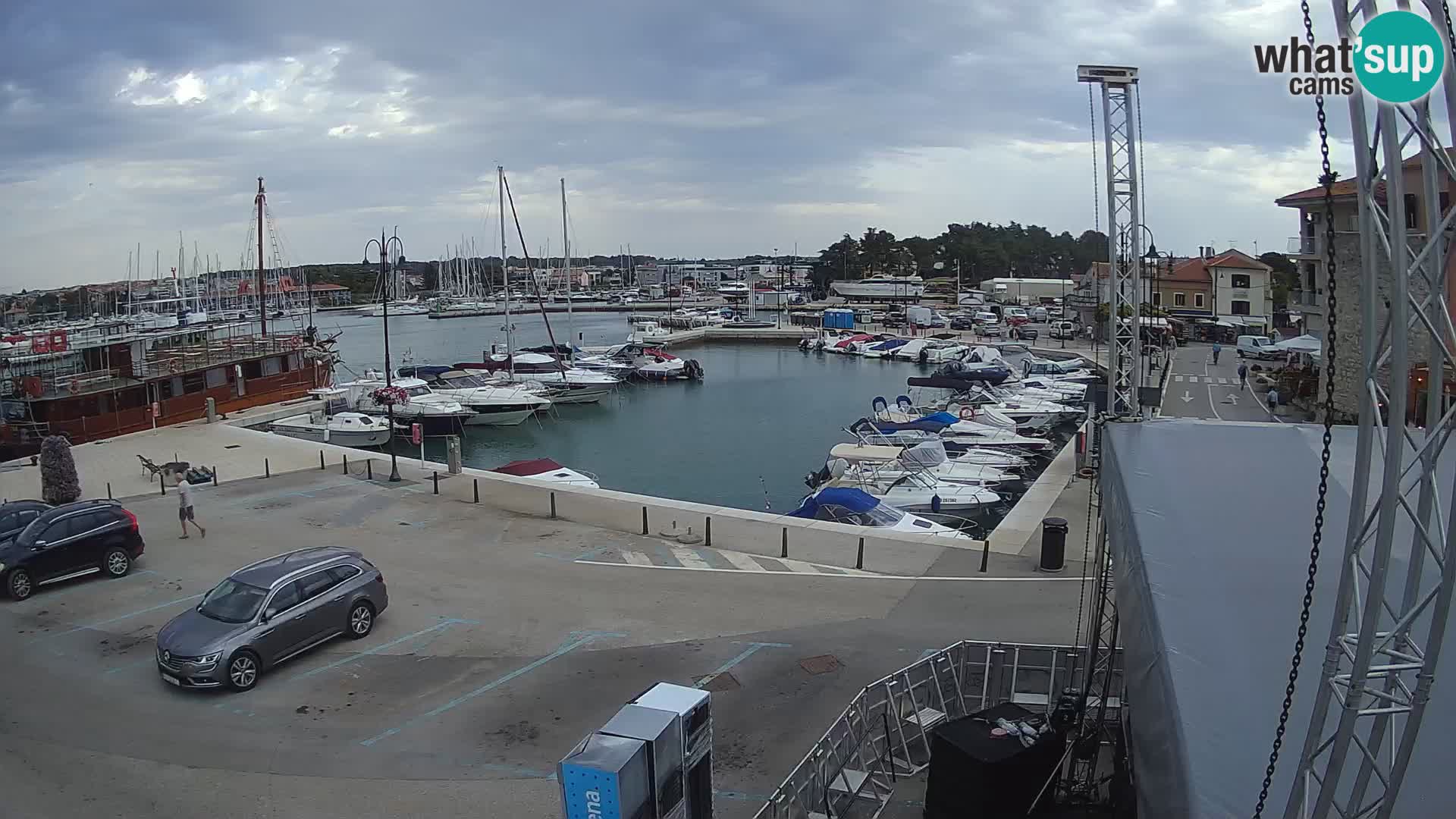 Novigrad | Porporela marina