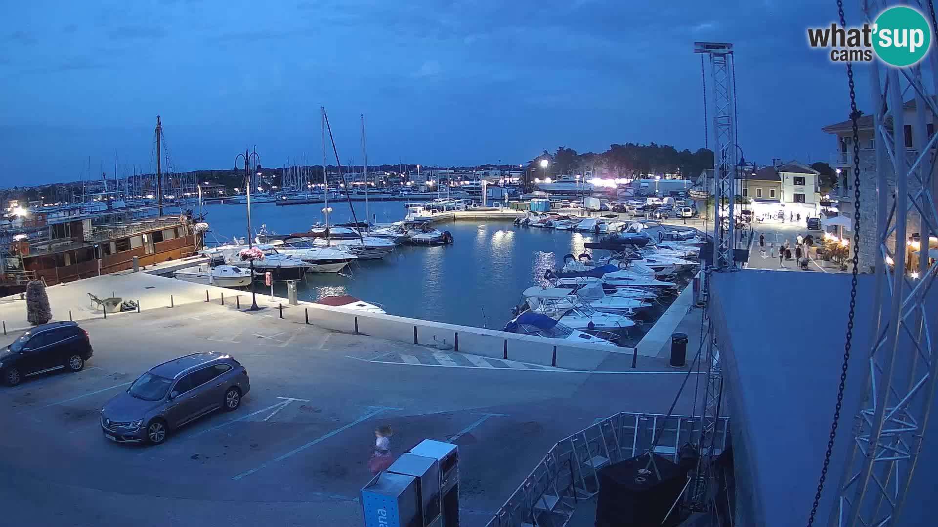 Novigrad | Porporela marina