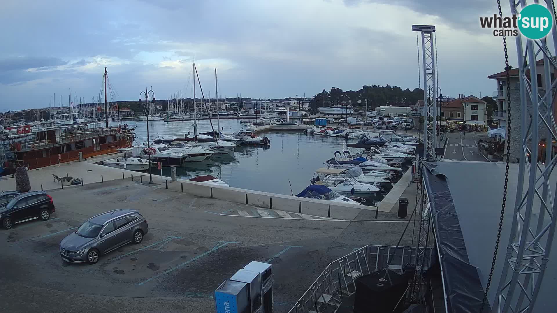 Novigrad | Porporela marina