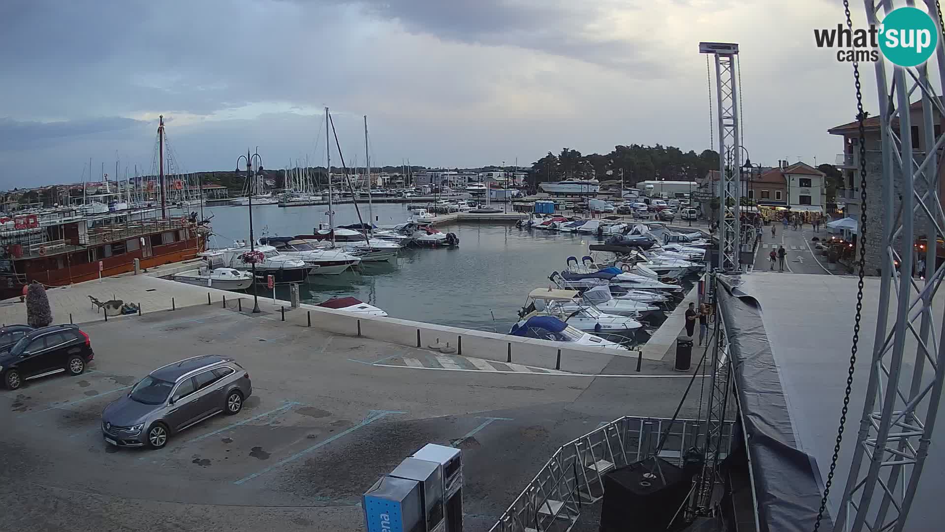 Novigrad | Porporela marina