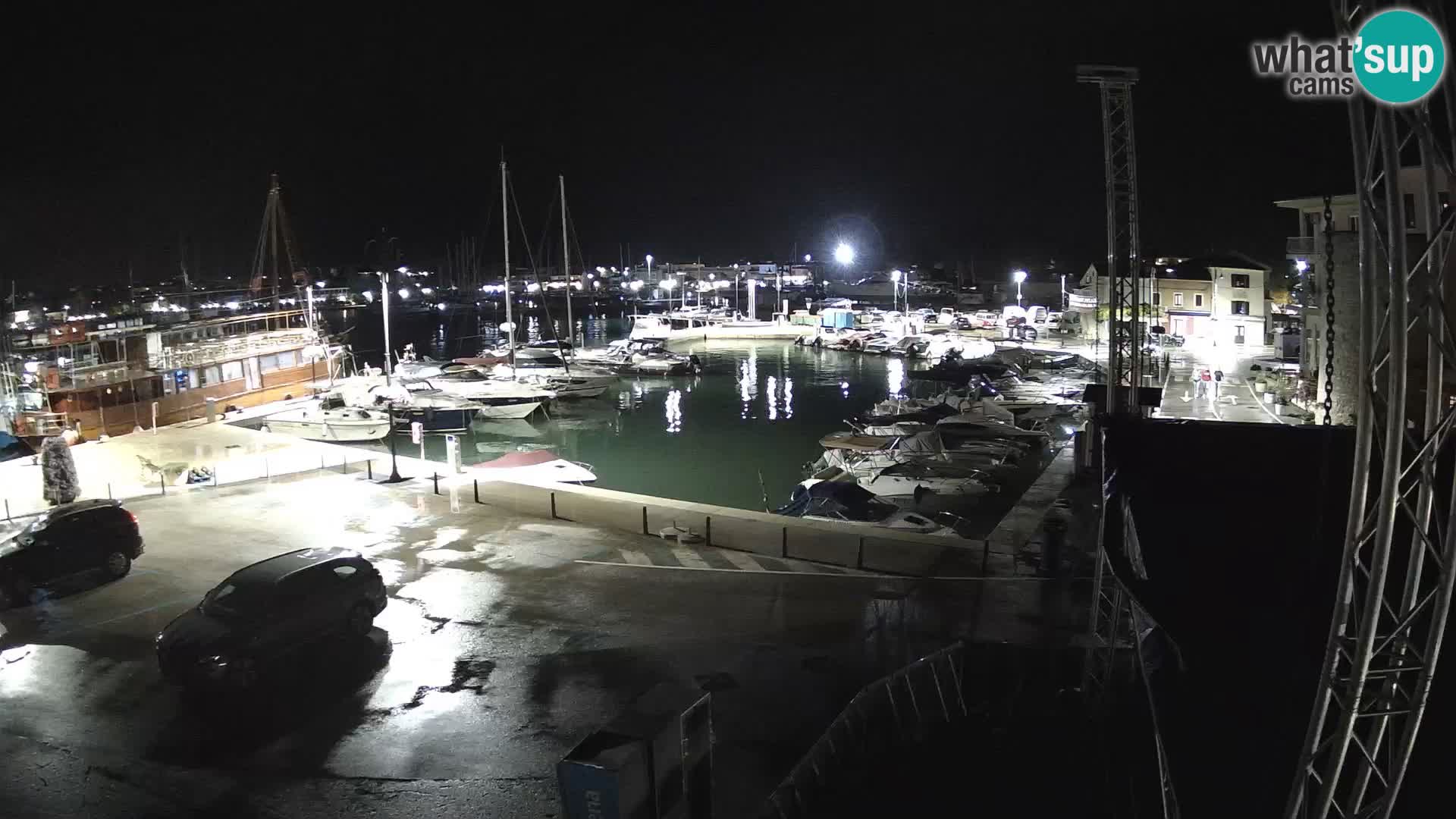 Novigrad | Porporela marina