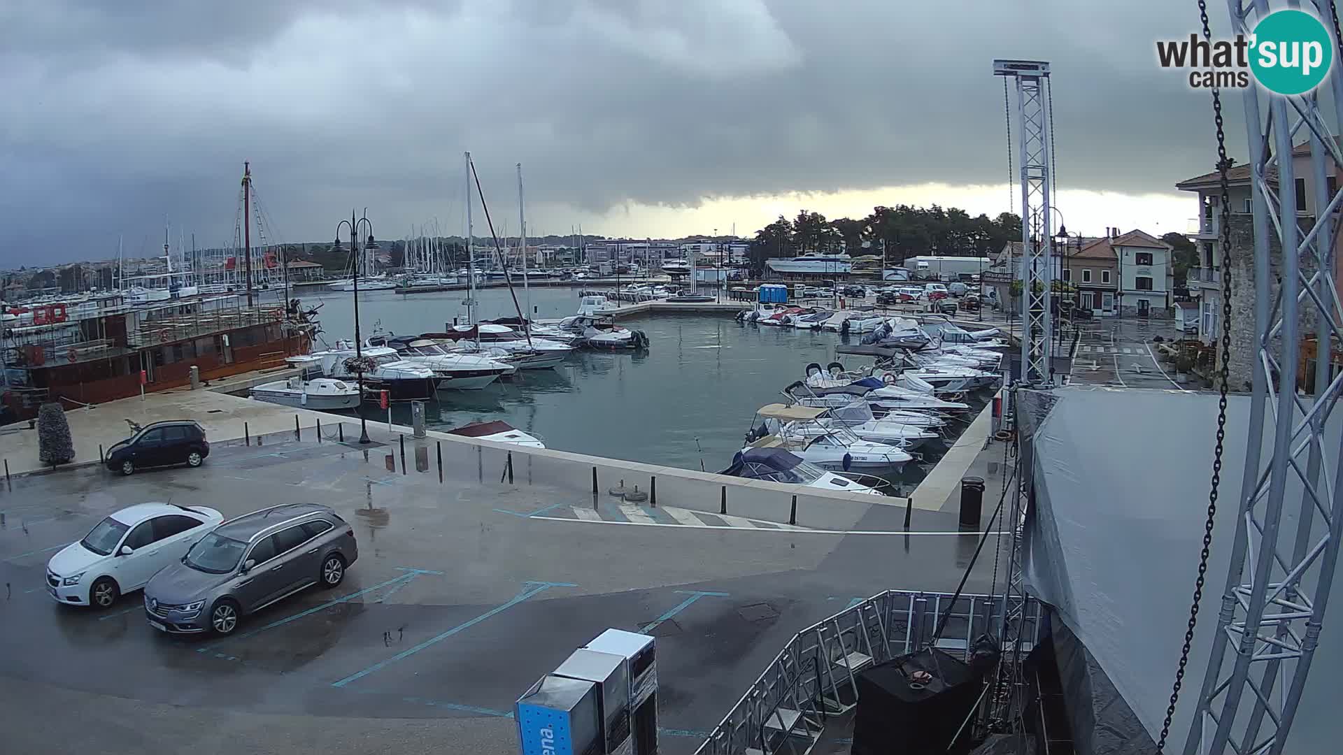 Novigrad | Porporela marina