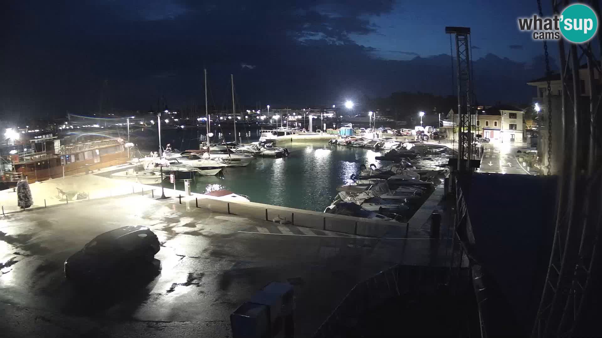 Novigrad | Porporela marina