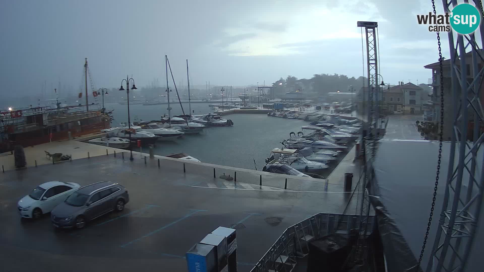 Novigrad | Porporela marina